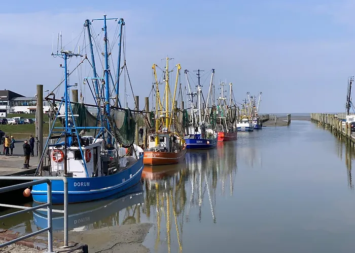 Hyggelig - Strandnah Mit Sauna Und Balkon Lejlighed